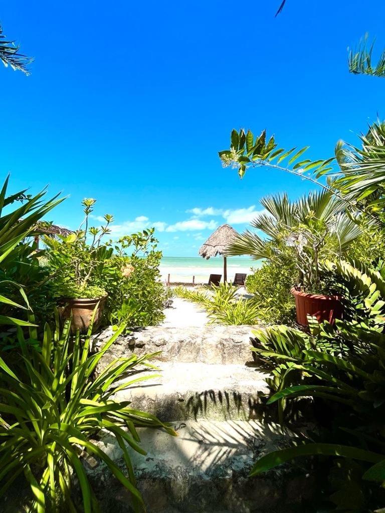 Casa Tom Tom - Adults Only Bed & Breakfast Holbox  Eksteriør bilde